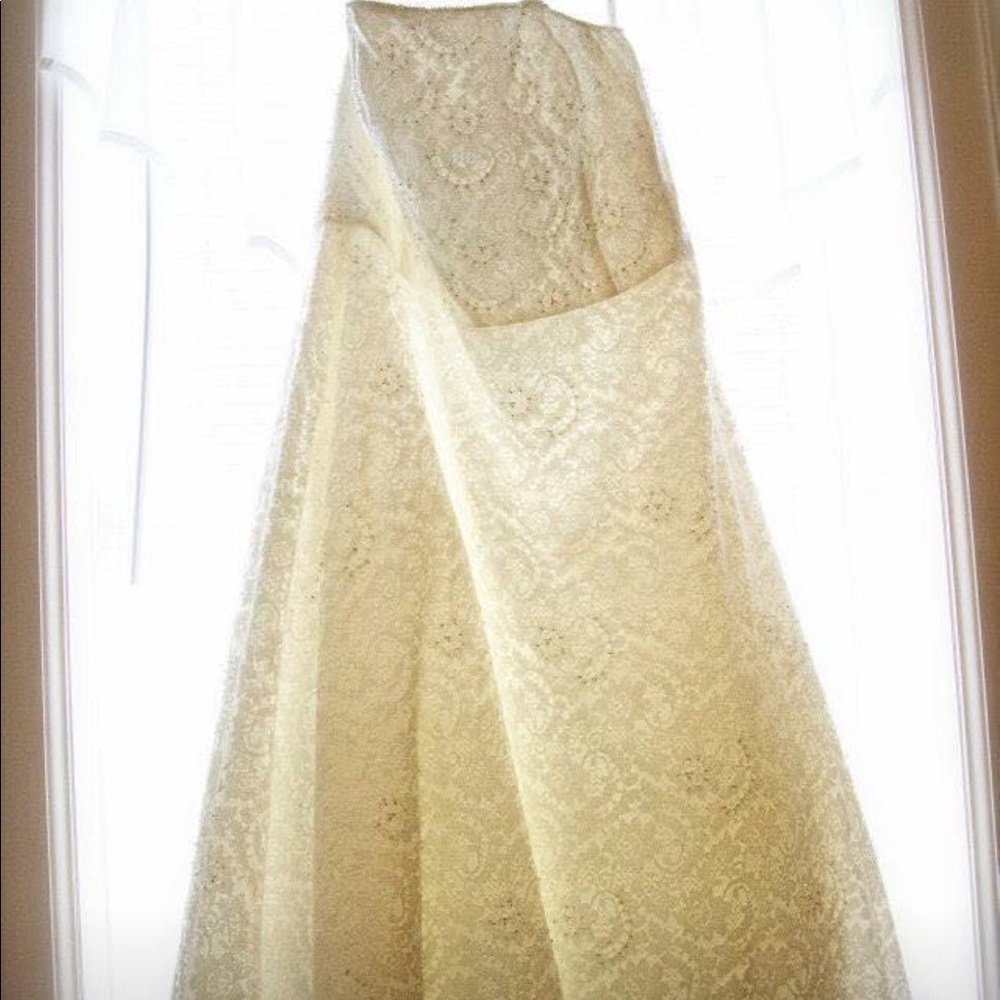 David’s Bridal plus Sized Wedding dress